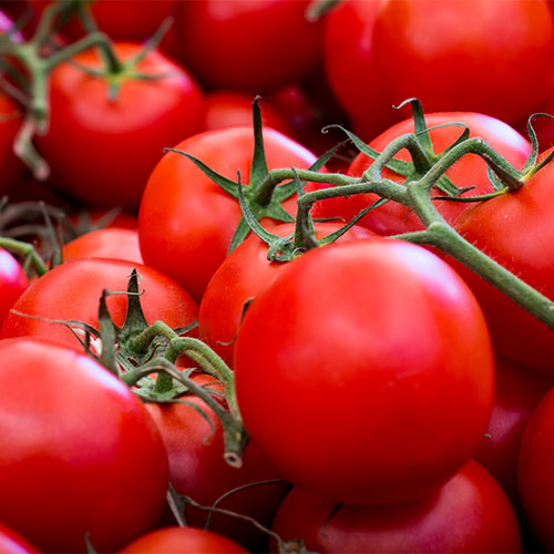 specialty tomatoes