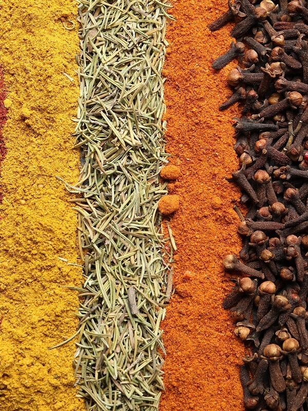 Rows of ground turmeric, dried rosemary, paprika, and whole cloves